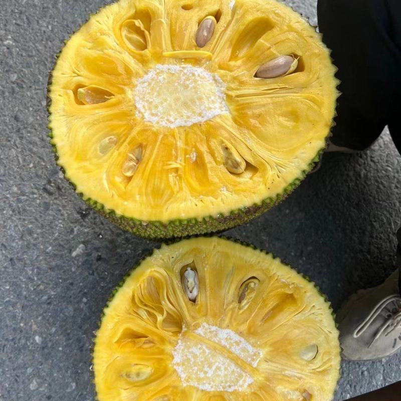 马来西亚