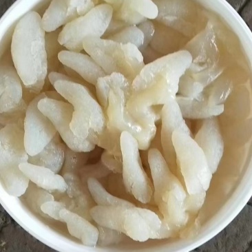 八爪蜇头
