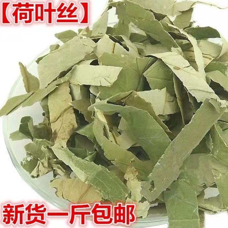 荷叶中药材荷叶另售整张荷叶荷叶荷叶丝500g荷叶