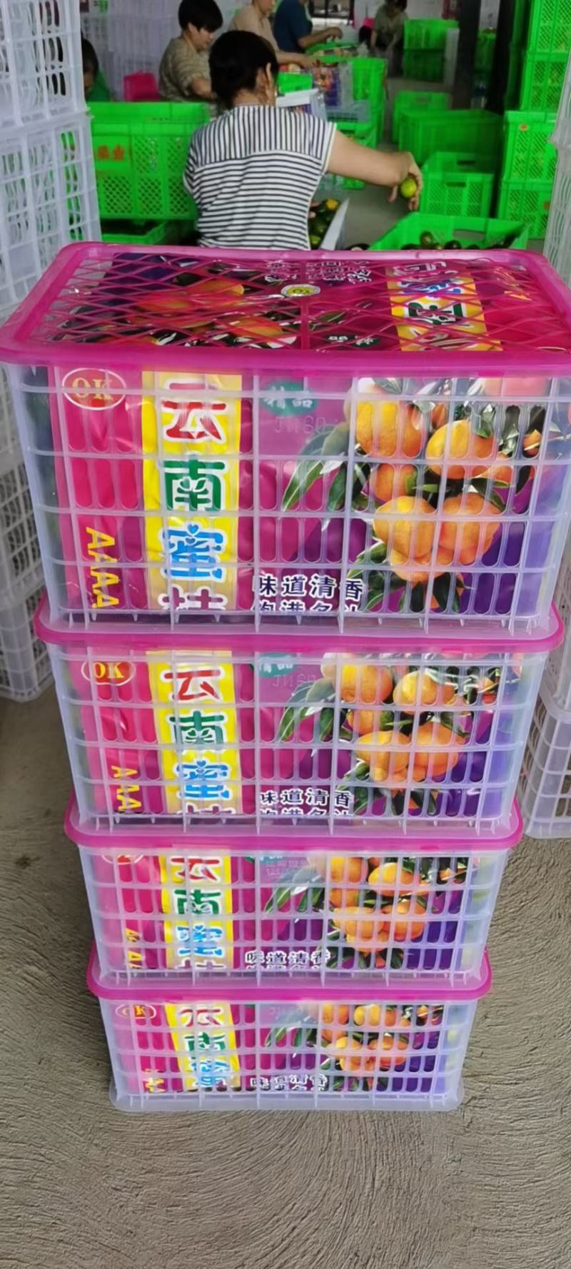 《蜜橘》云南蜜橘电商社团市场商超外贸美团多多买菜等