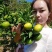 《蜜橘》云南蜜橘电商社团市场商超外贸美团多多买菜等
