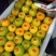 《蜜橘》云南蜜橘电商社团市场商超外贸美团多多买菜等
