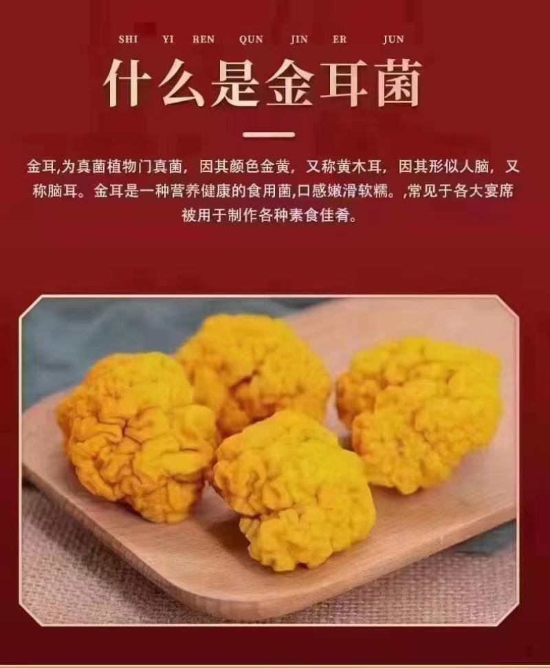 金耳菌源头实力工厂!欢迎合作，订货量大价格也优惠!