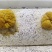 金耳菌源头实力工厂!欢迎合作，订货量大价格也优惠!