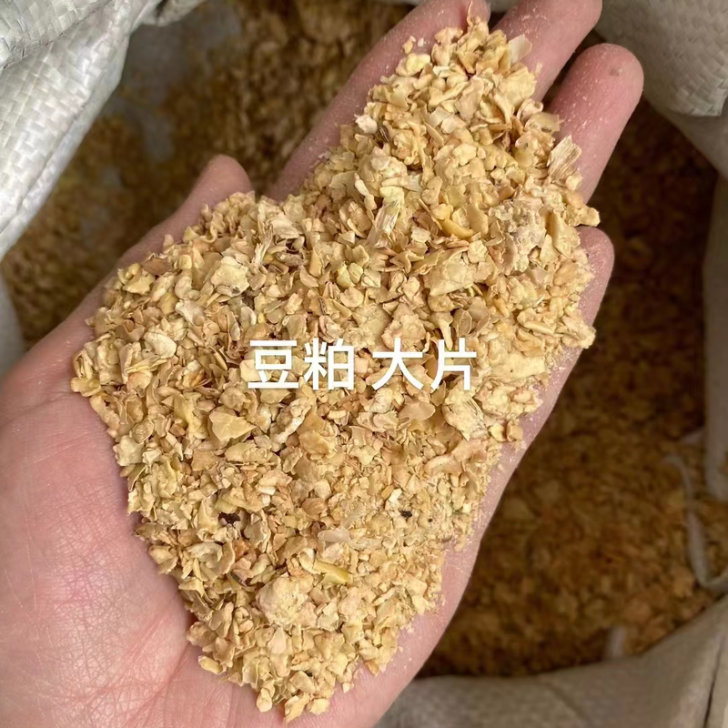 豆粕长期供应