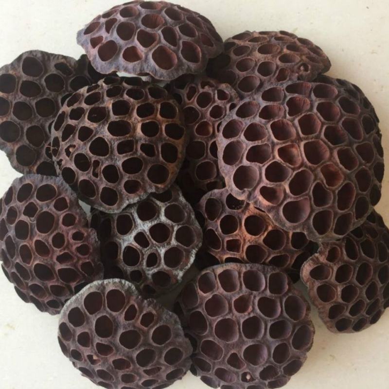 莲房中药莲子干莲蓬莲房老莲蓬藕实莲蓬莲子房