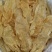 A厂15头阴阳开片鱼胶花胶一斤14-15头原装货很厚肉的