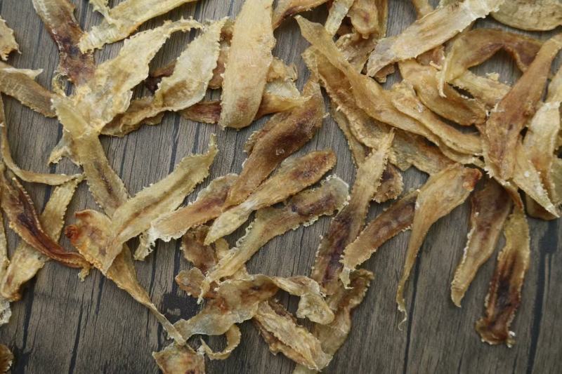 450头土鳘条鱼胶花胶厚肉颜色好味道新鲜扑鼻而来