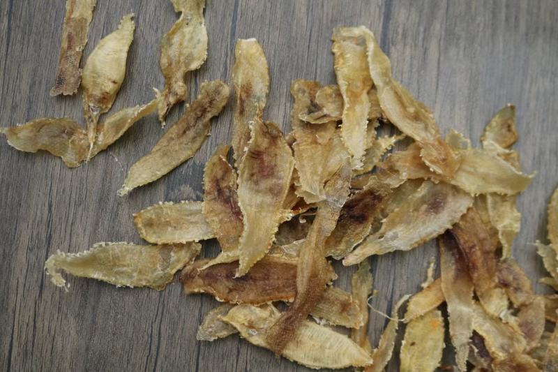 450头土鳘条鱼胶花胶厚肉颜色好味道新鲜扑鼻而来