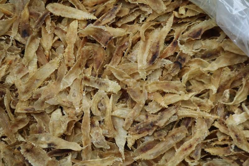 450头土鳘条鱼胶花胶厚肉颜色好味道新鲜扑鼻而来
