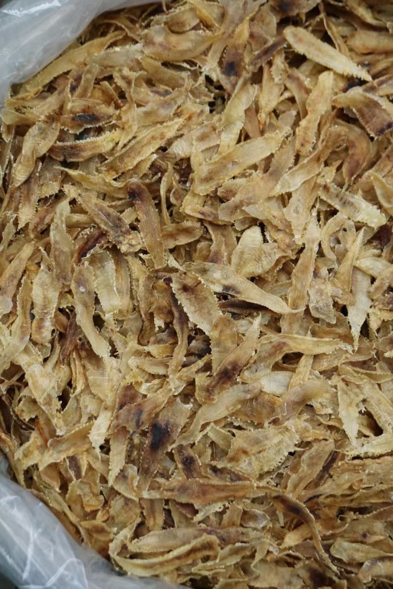 450头土鳘条鱼胶花胶厚肉颜色好味道新鲜扑鼻而来