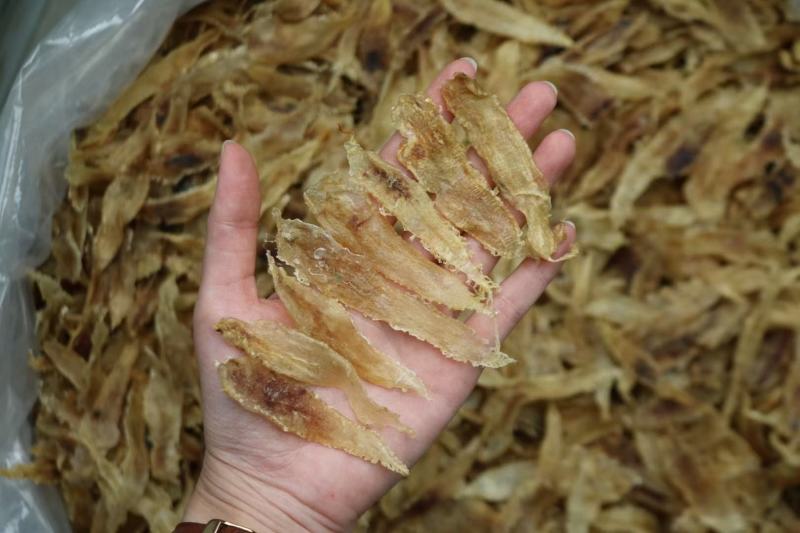 450头土鳘条鱼胶花胶厚肉颜色好味道新鲜扑鼻而来
