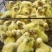 鹅苗皖蒲杂交250g以下【华芳孵化场】价格美丽