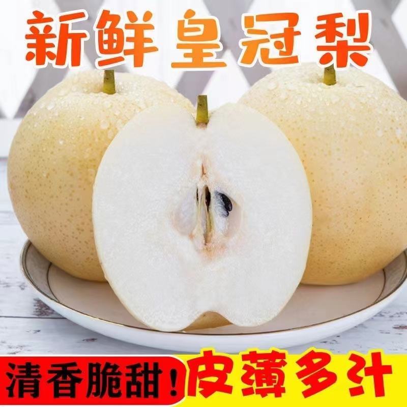 【实力商家】山西精品皇冠梨，包熟包甜，产地供应，全国发货