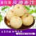 【实力商家】山西精品皇冠梨,包熟包甜,产地供应,全国发货