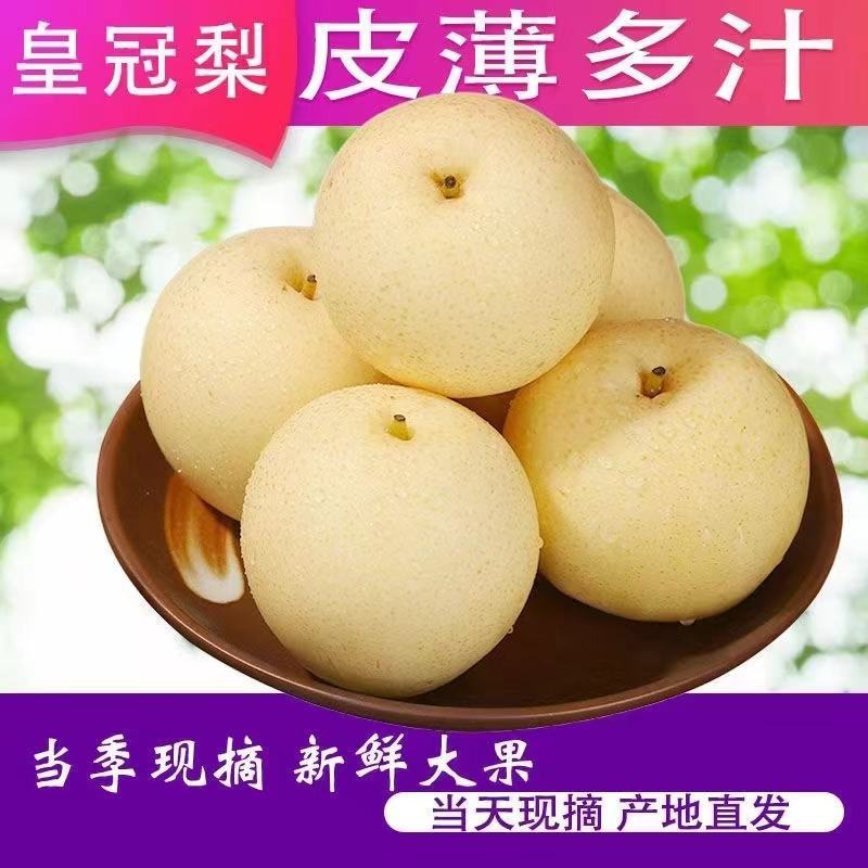 【实力商家】山西精品皇冠梨，包熟包甜，产地供应，全国发货