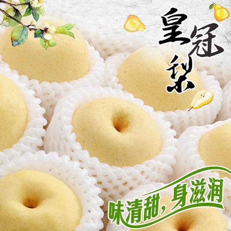 【实力商家】山西精品皇冠梨，包熟包甜，产地供应，全国发货