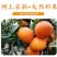 爱媛橙蜜橙，可口香甜，无渣无核，汁多
