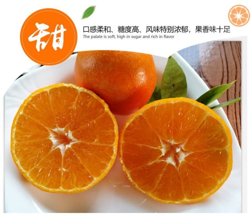 爱媛橙蜜橙，可口香甜，无渣无核，汁多