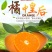 爱媛橙蜜橙，汁多香甜，无渣无核，个头大