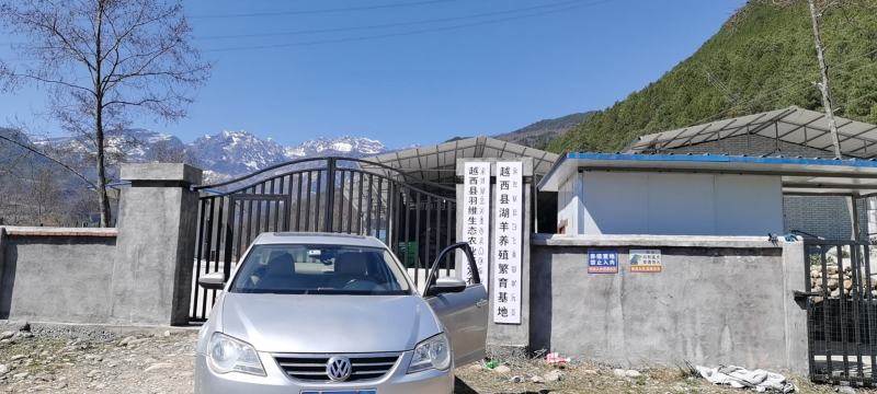纯羊粪羊场直发量大从优负责找车量大从优可以送货到家