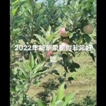 鲁丽开卖了口感特别好