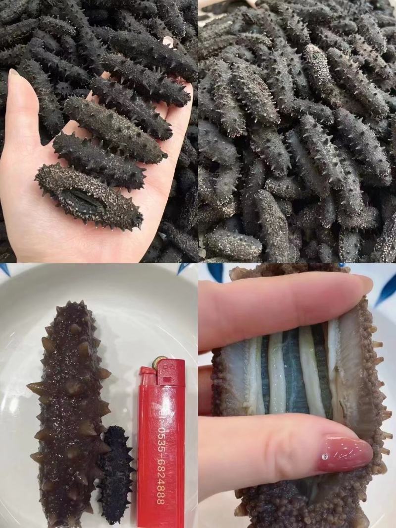 淡干海参精品辽参淡干海参干货各类规格无糖无料微冻工艺
