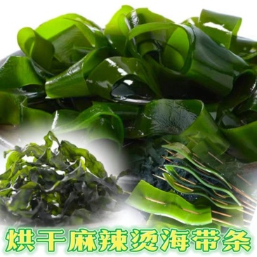 海带条小海带烘干压缩海带条海带头免洗海带条火锅海带片