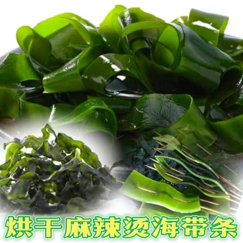海带条小海带烘干压缩海带条海带头免洗海带条火锅海带片