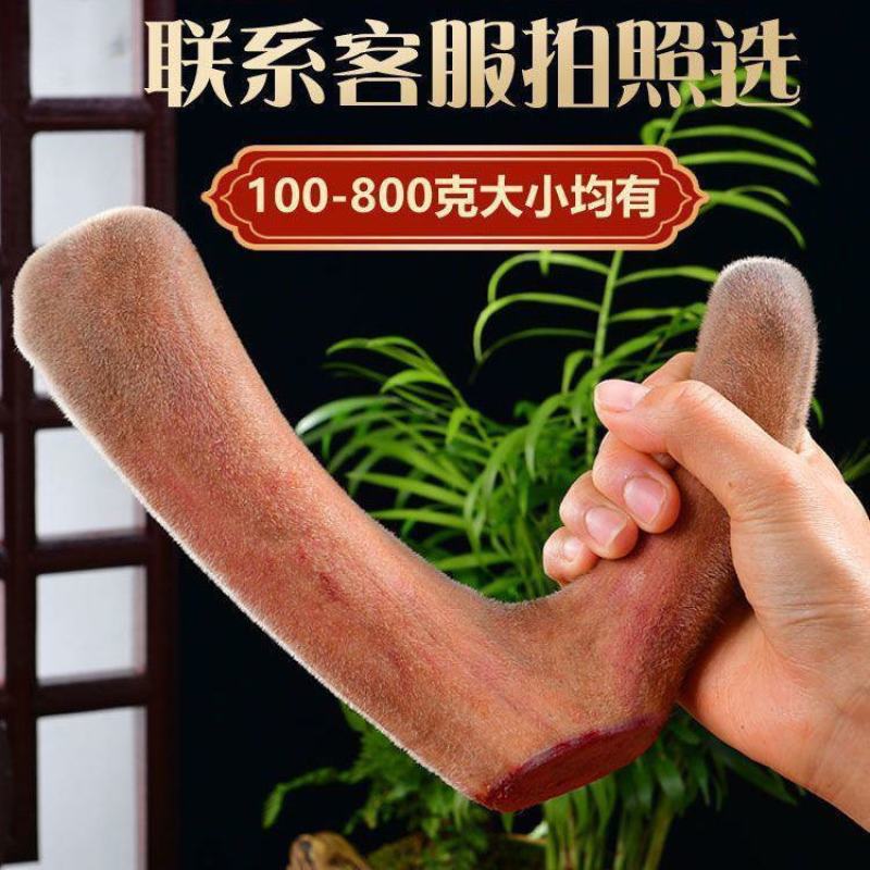 梅花鹿鲜鹿茸头茬二杠鹿茸100克到800克之间客服