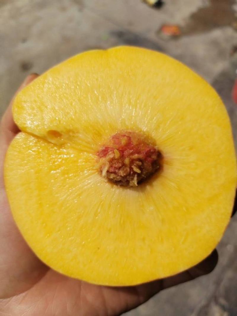 黄金蟠桃，个头大，果味香甜