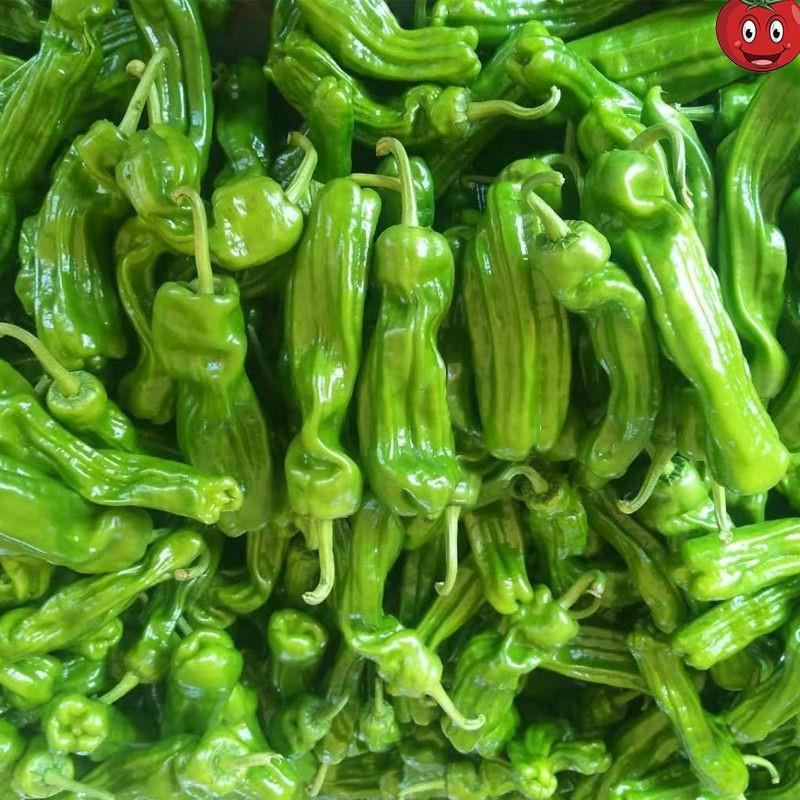 湖北芜湖椒，薄皮椒，线椒，各种辣椒品类，价格美丽欢迎来电