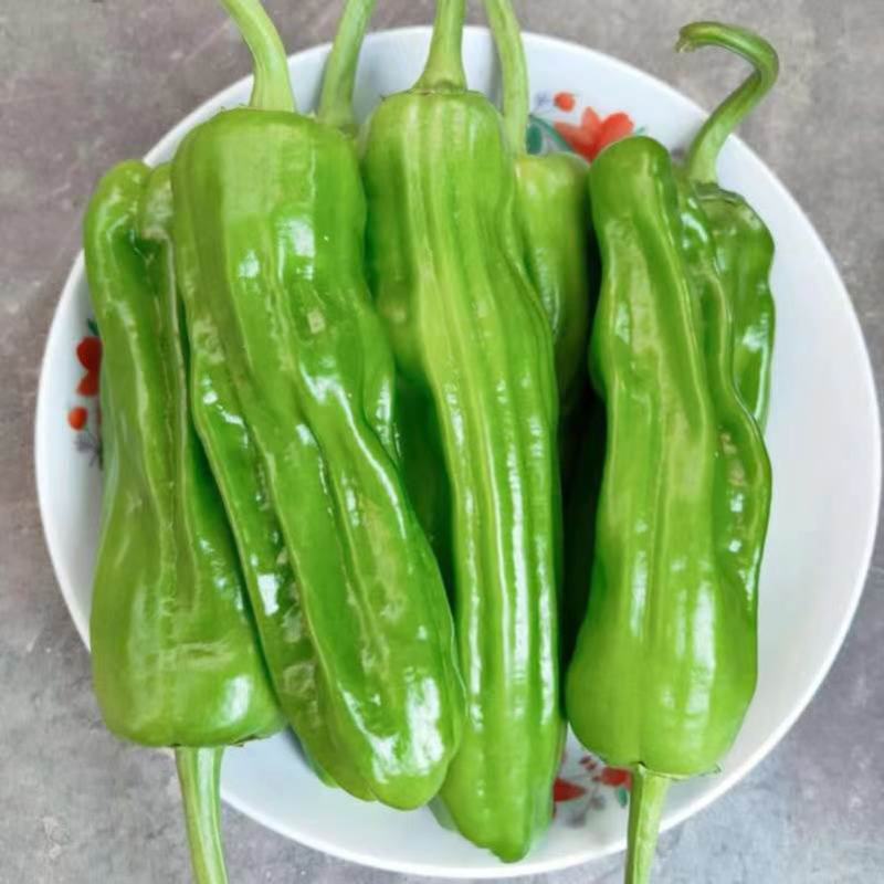 湖北芜湖椒，薄皮椒，线椒，各种辣椒品类，价格美丽欢迎来电