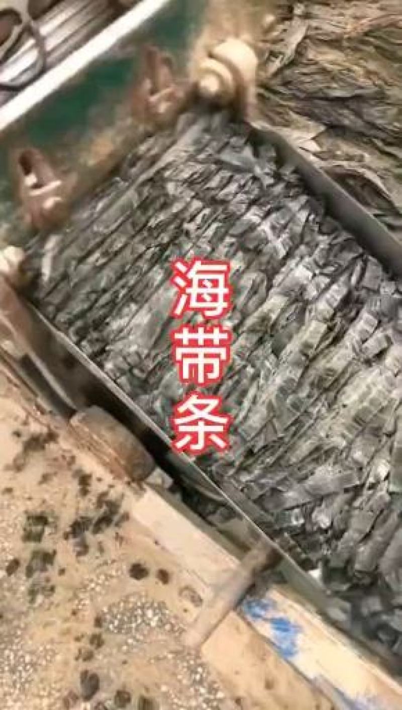 干海带海带海带条海带干麻辣串海带条中厚海带条