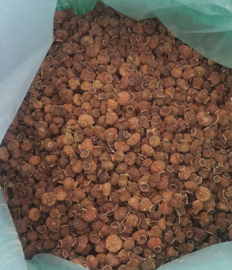 刺梨干果。大量现货品质保证