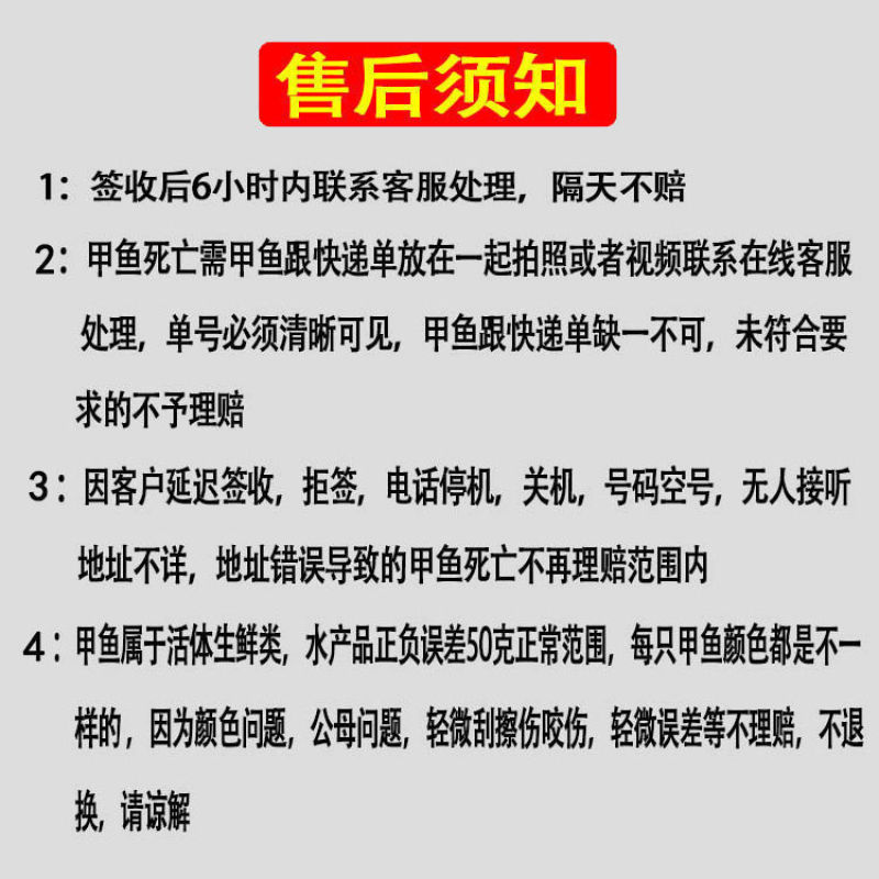 20-30克外塘甲鱼苗活体小甲鱼苗水鱼苗鲜活苗小鳖苗中华