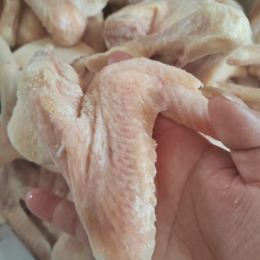 鸭翅全鸭翅个头匀称颜色干净全露天饲养