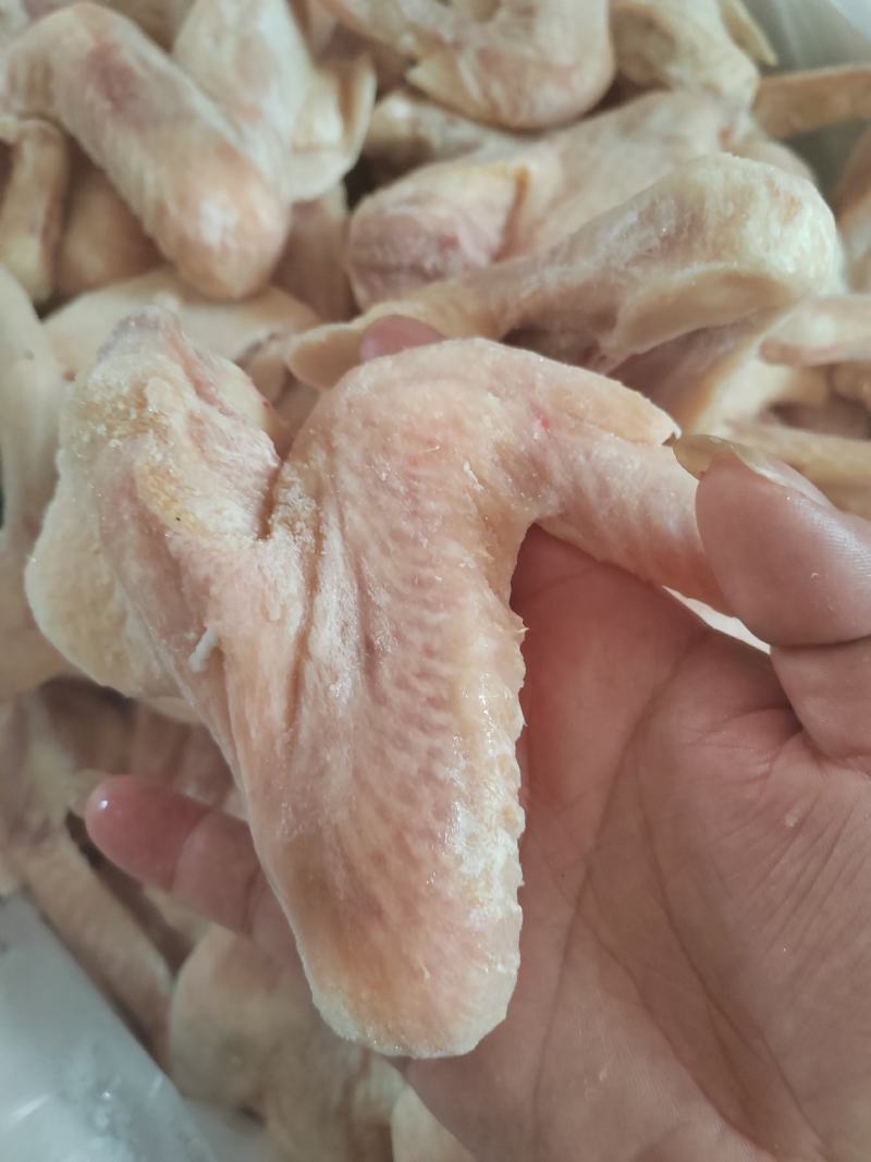 鸭翅全鸭翅个头匀称颜色干净全露天饲养