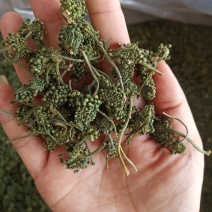 批发人参花500克人参花茶泡水花茶干化人参花