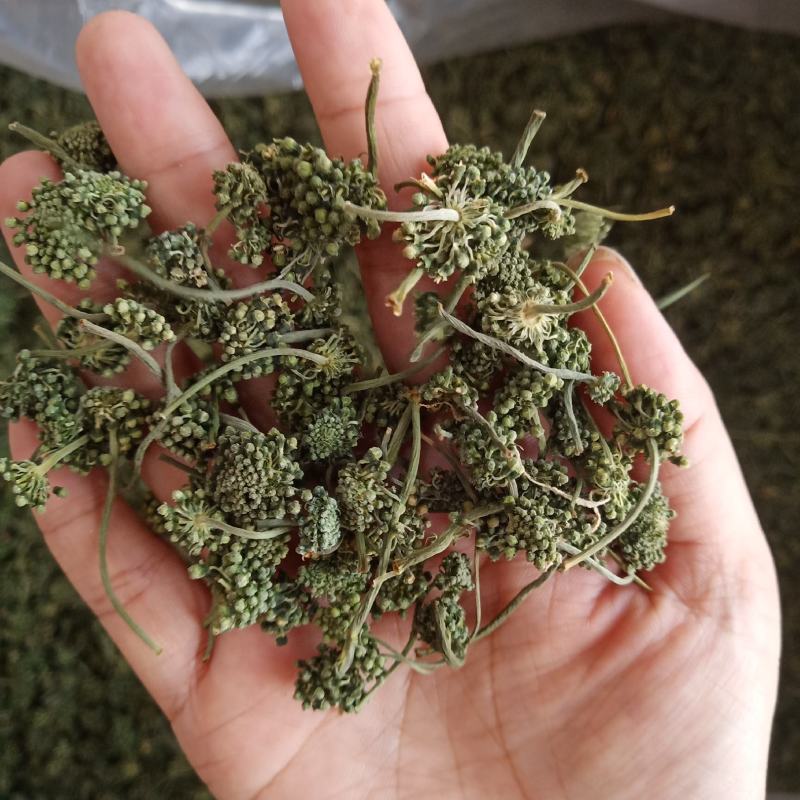 批发人参花500克人参花茶泡水花茶干化人参花