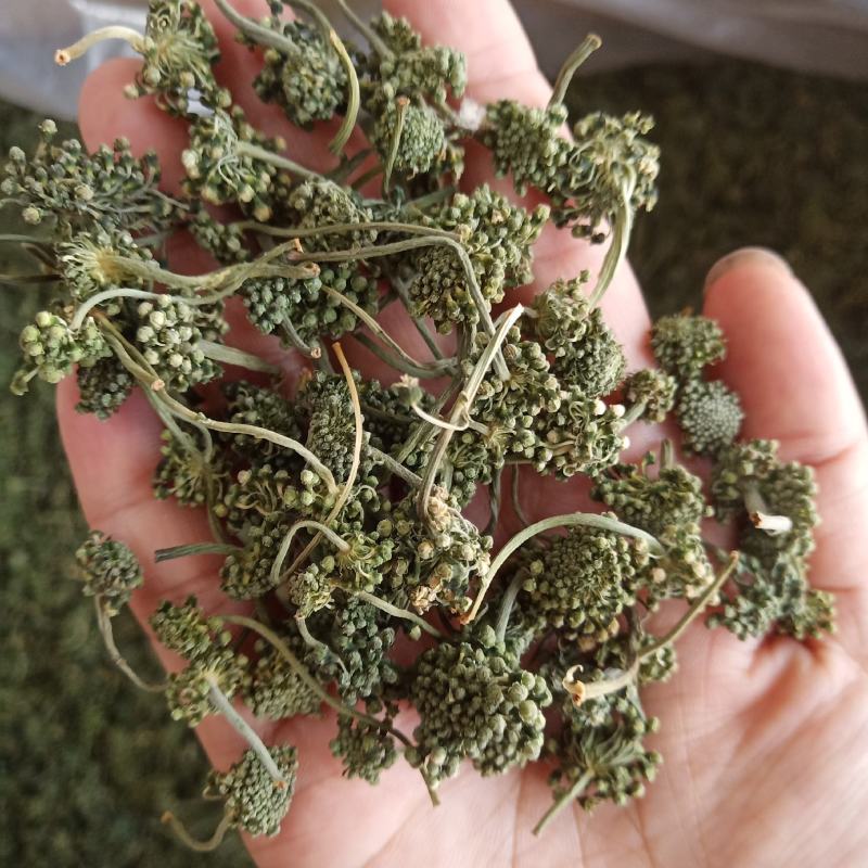 批发人参花500克人参花茶泡水花茶干化人参花