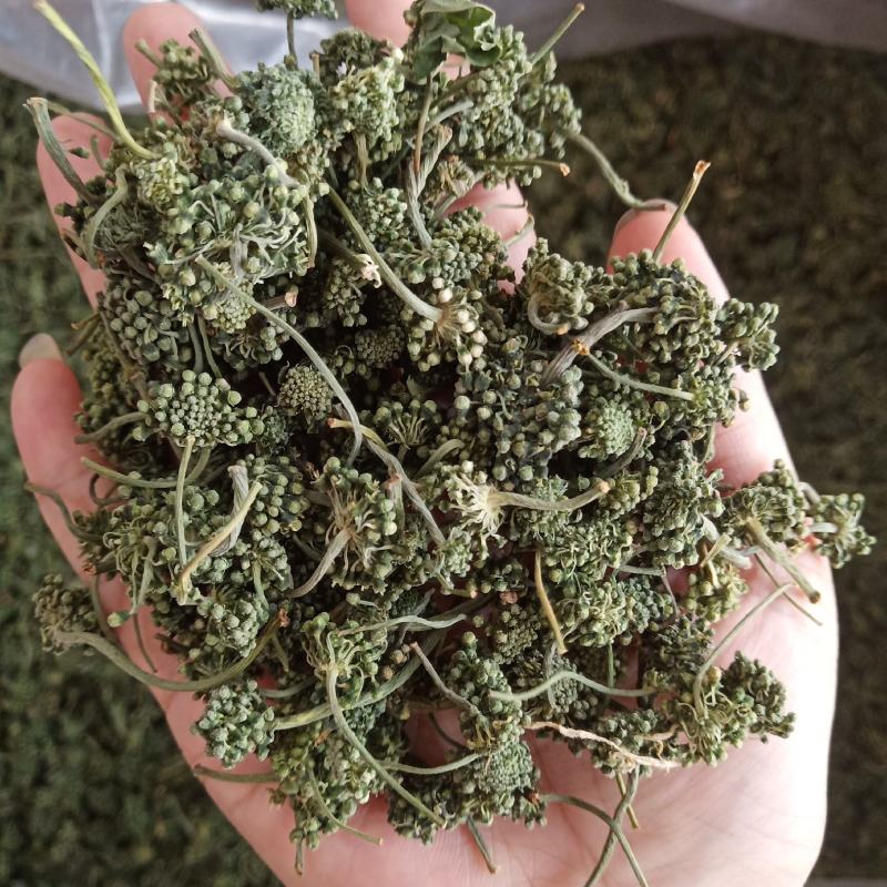 批发人参花500克人参花茶泡水花茶干化人参花
