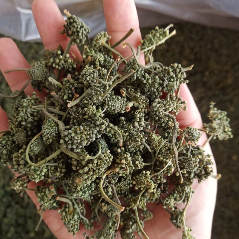 批发人参花500克人参花茶泡水花茶干化人参花