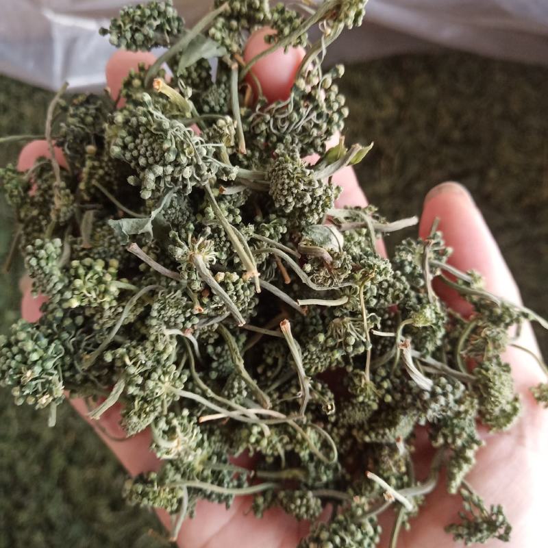 批发人参花500克人参花茶泡水花茶干化人参花