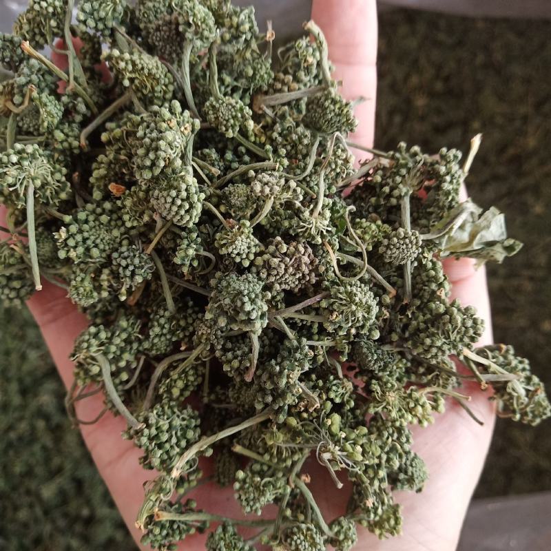 批发人参花500克人参花茶泡水花茶干化人参花