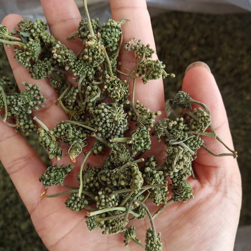 批发人参花500克人参花茶泡水花茶干化人参花