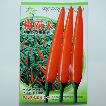 椒霸天泰国进口小米椒种子品种杂交一代中早熟品种，种子