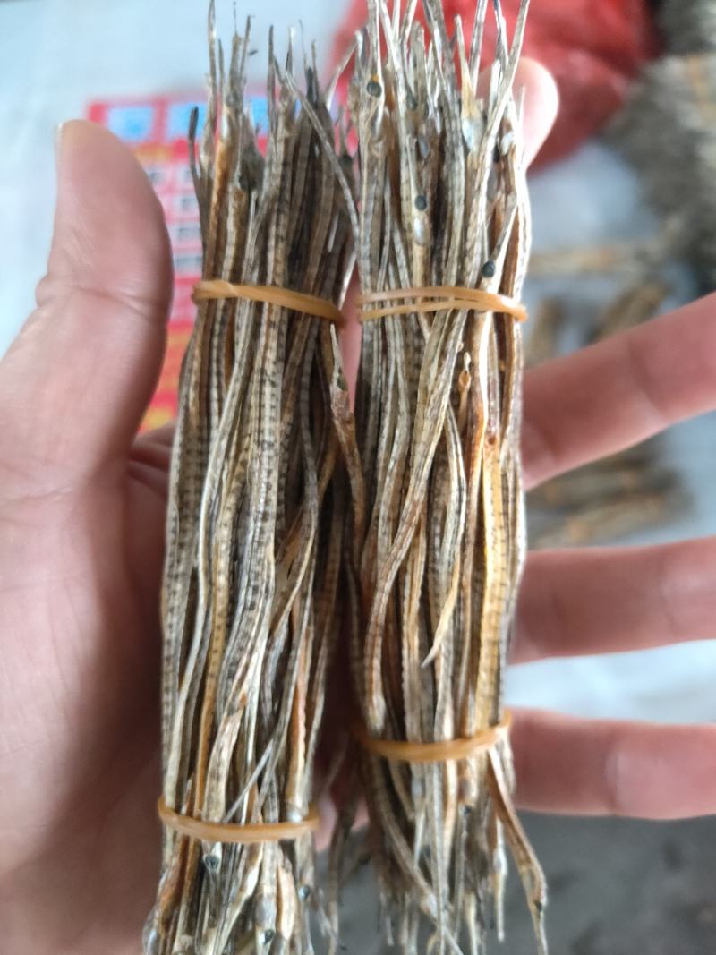 新晒中药材新鲜小海龙煲汤泡酒料滋补小海龙干海产干货