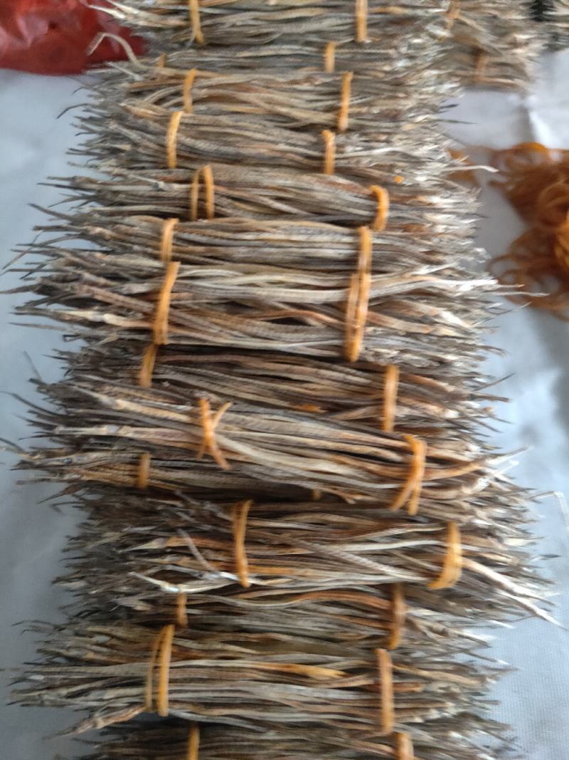 新晒中药材新鲜小海龙煲汤泡酒料滋补小海龙干海产干货