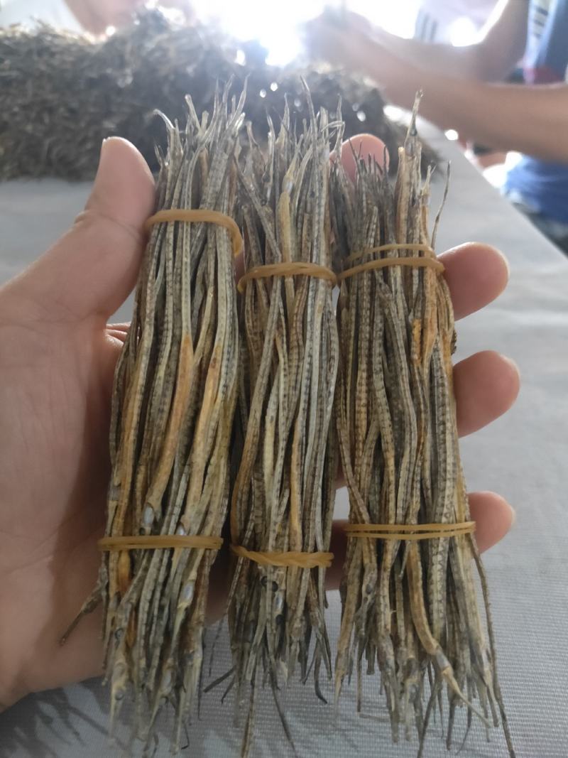 新晒中药材新鲜小海龙煲汤泡酒料滋补小海龙干海产干货